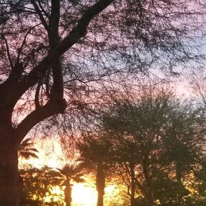 Meet your Posher, Tanisha